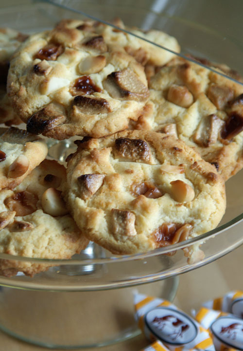 chunkcookie_gr chunkcookie_gr