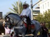 Latin Rider Latin Rider