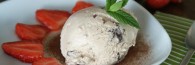 Vanilla Malt Chip Ice Cream