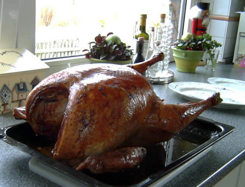 Roast Turkey (gebratene Pute, einfach)