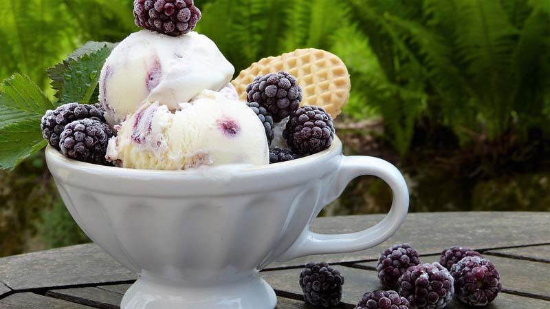 Frozen Joghurt mit Brombeeren