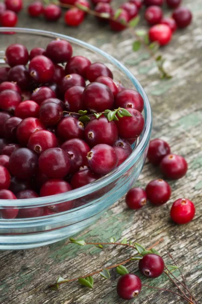 Anbau und Verwendung von Cranberries | USA kulinarisch