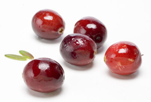 Frische Cranberries