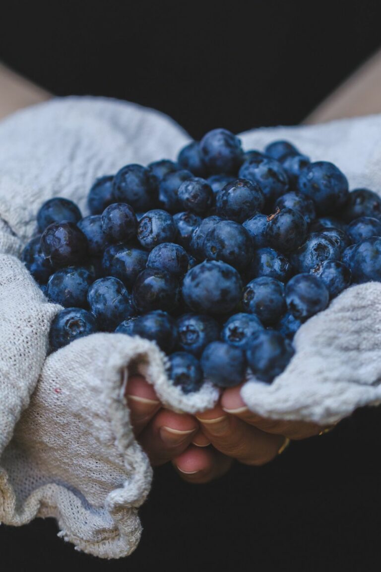 Blueberry-Special: Die besten Blaubeer Rezepte