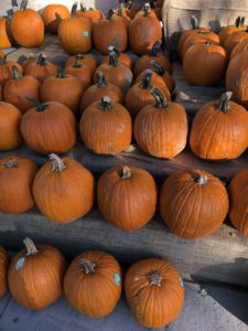 Huaaa…. Halloween is coming!