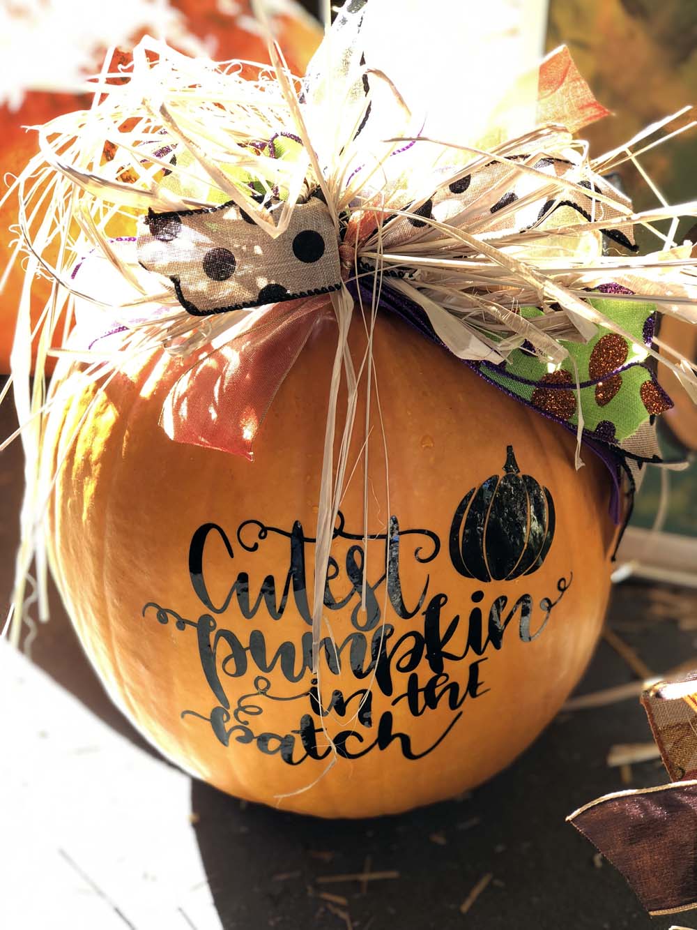 Pumpkins / Kürbisse in den USA zu Halloween