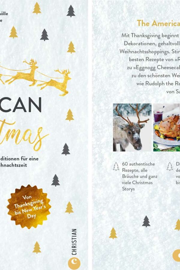 So Feiern Die Usa Silvester Neujahr