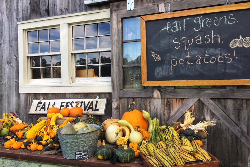 Fall Festival in New England