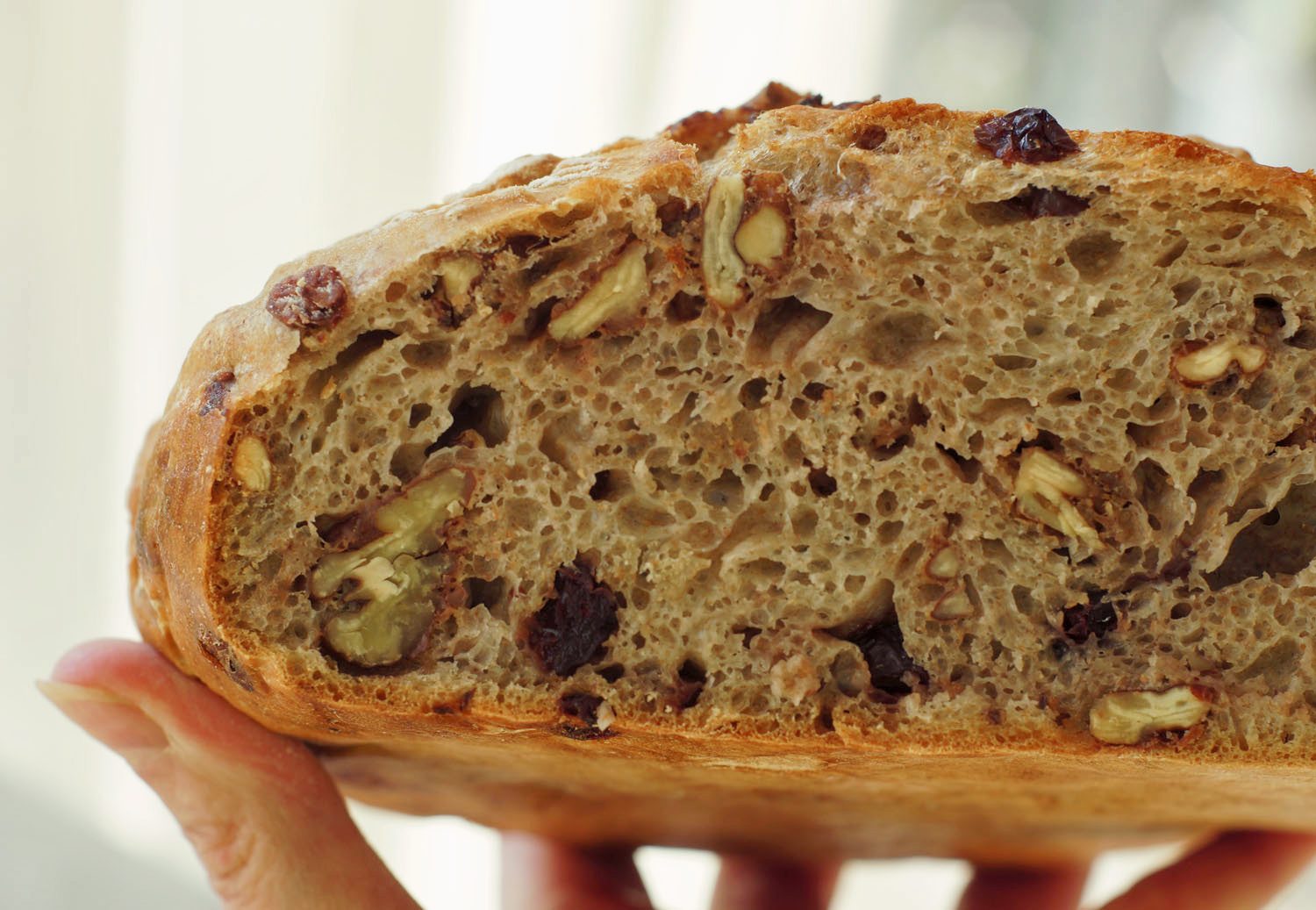 Einfaches Topfbrot mit Cranberries und Nüssen